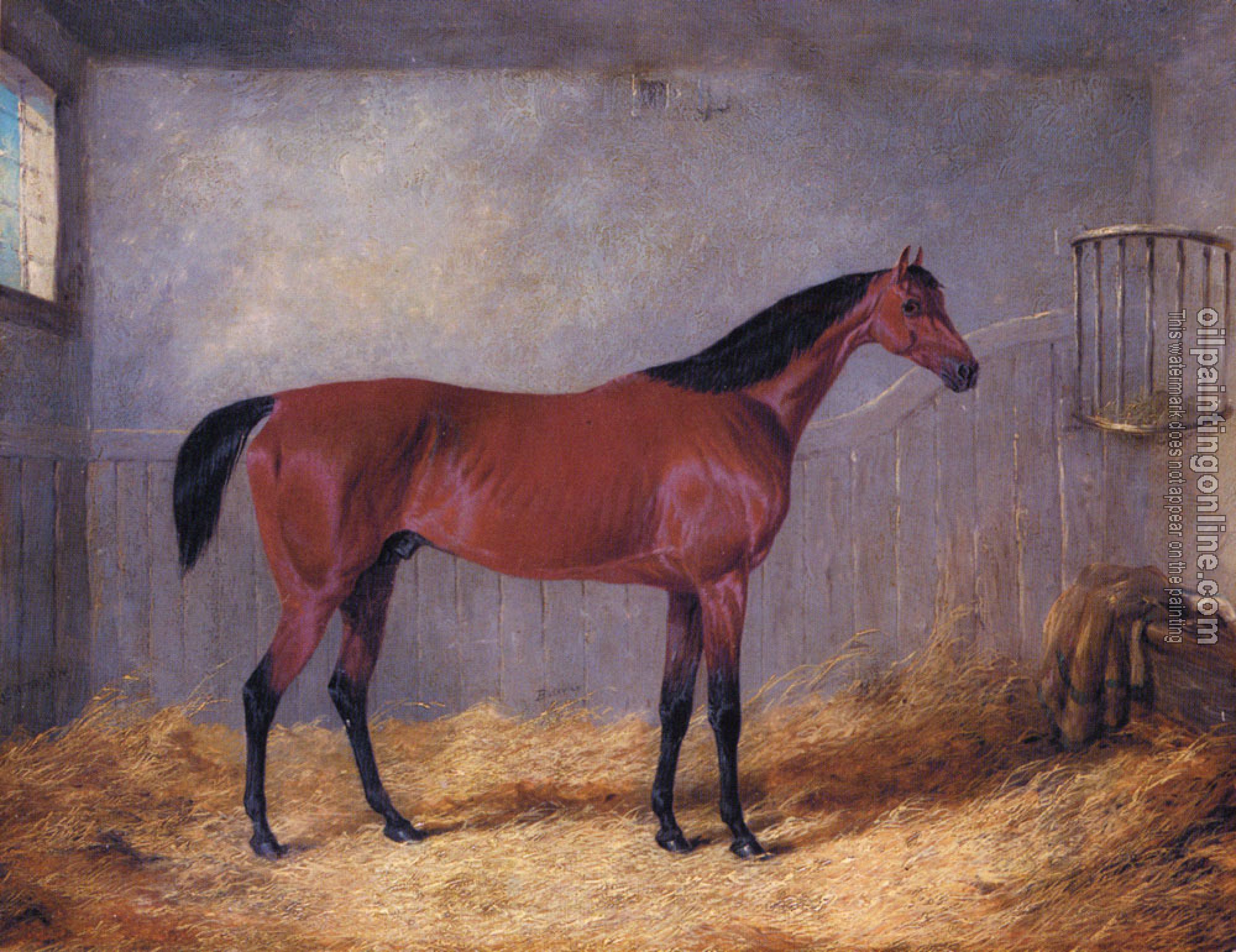 Herring, John Frederick Jr - The Duke Of Grafton's Bolivar In A Stable